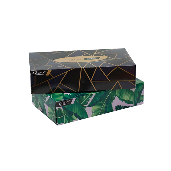 Capri Facial Tissues 2 ply 100 pack white image 0