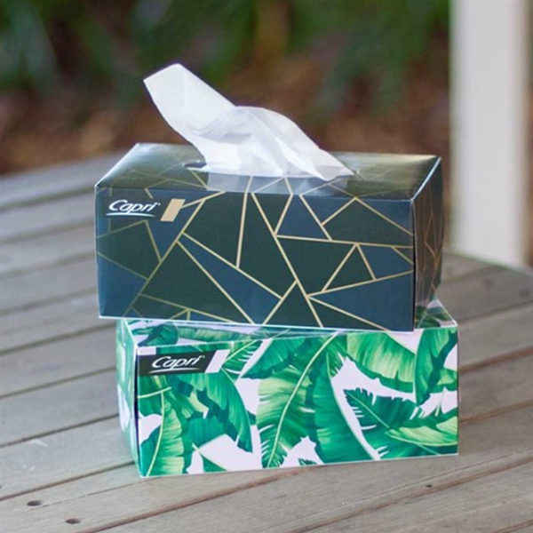 Capri Facial Tissues 2 ply 200 pack White image 1