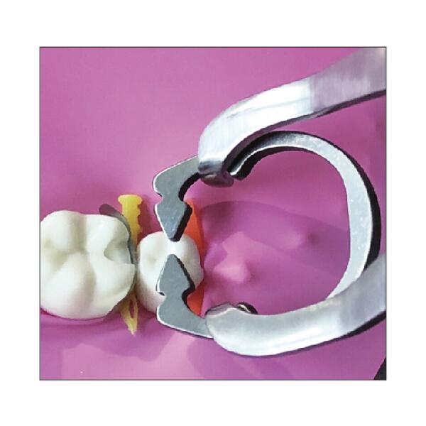 Clamp Ring R1 2.0 - each image 1