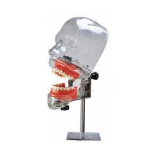 Simple Manikin Kit image 0
