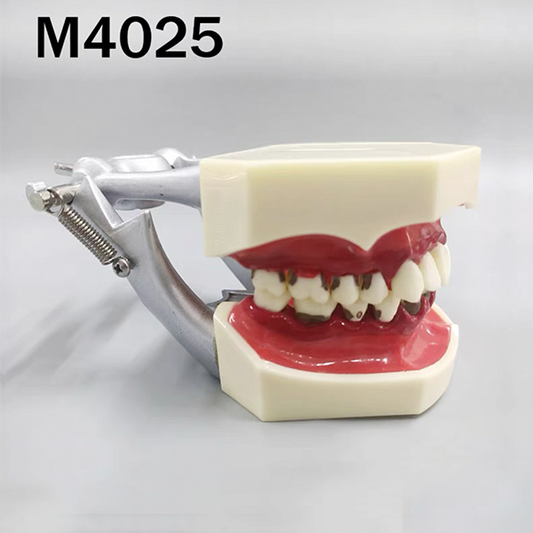 Periodontal Model - each image 0