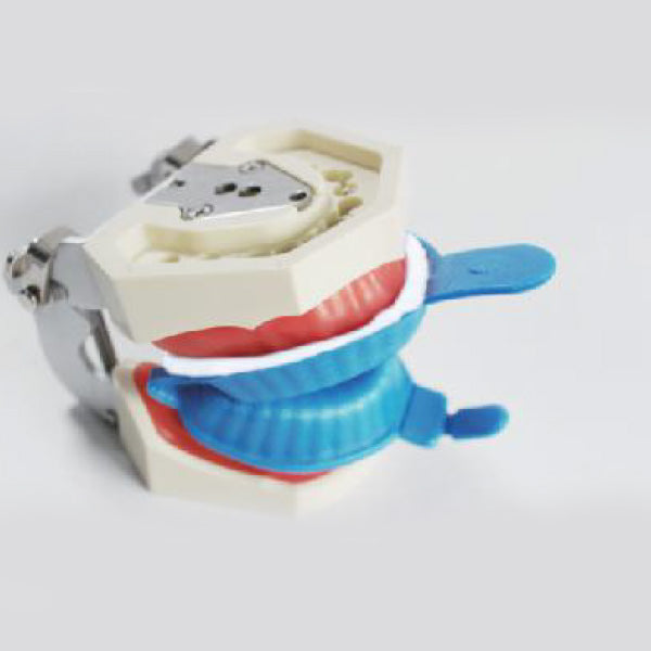 Disposable Fluoride Foam Trays image 1