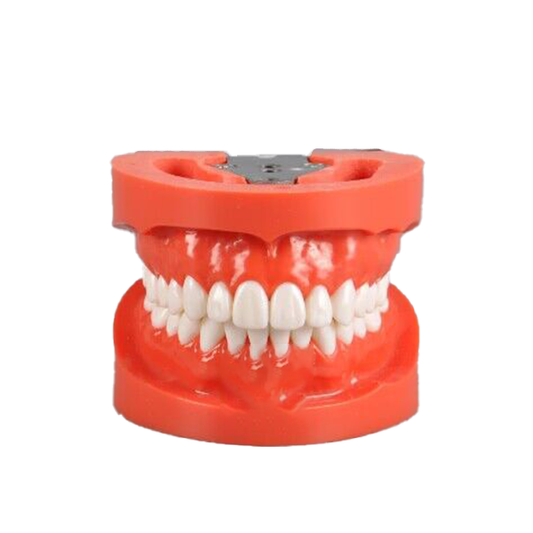 Standard Model with 28 Screw-in Teeth image 0