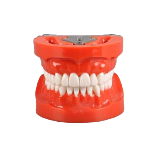 Standard Model with 32 Screw-in Teeth image 0